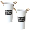 2 Pcs Simulation Disposable Cup Mini Bucket Rope Tote Handle Tin Flower Vase Arty Flower Container Desktop Flowerpot Home A 2