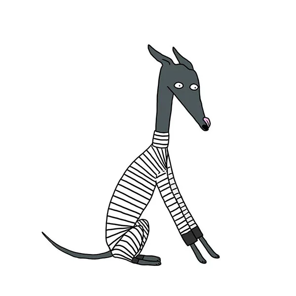 Greyhound Pet Clothing Store Store