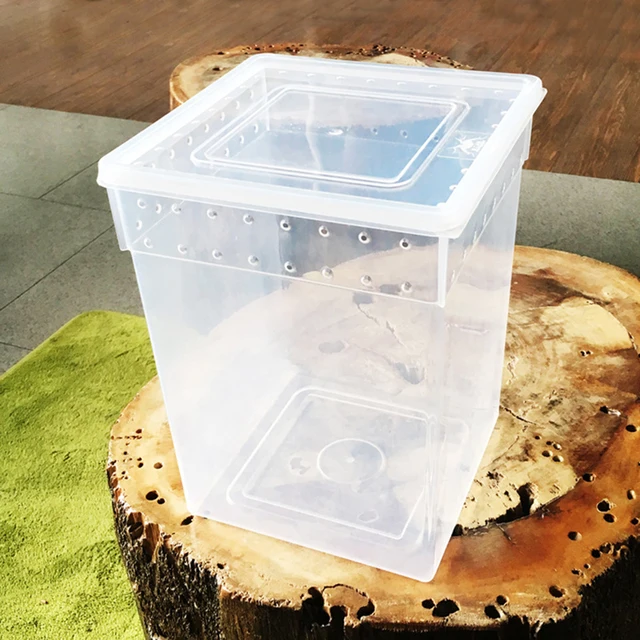 Pets Reptile Feeding Box Tarantula Enclosure Turtle Tank Aquarium Lizard Container Animals Habitat Cage For Frog Spider Gecko 4