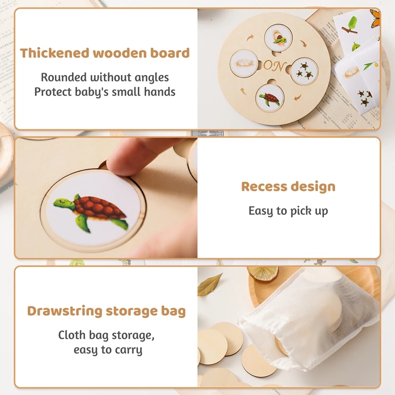 New Animal Life Cycle Board Montessori Teaching Aids Children Toys Plant Animal Growth Cycle Model Set Preschool Cognitive Toys 4