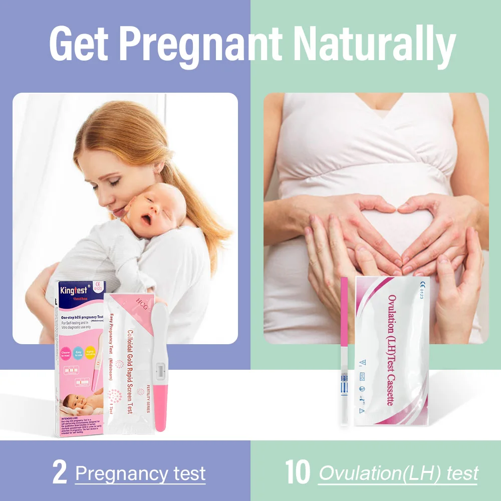 Pregnancy Test Ovulation & Pregnancy Test Strips Combo Kit 10 LH + 2hCG Accurate & Easy to Read 5mm Sticks Pregnancy Tests Early Detection