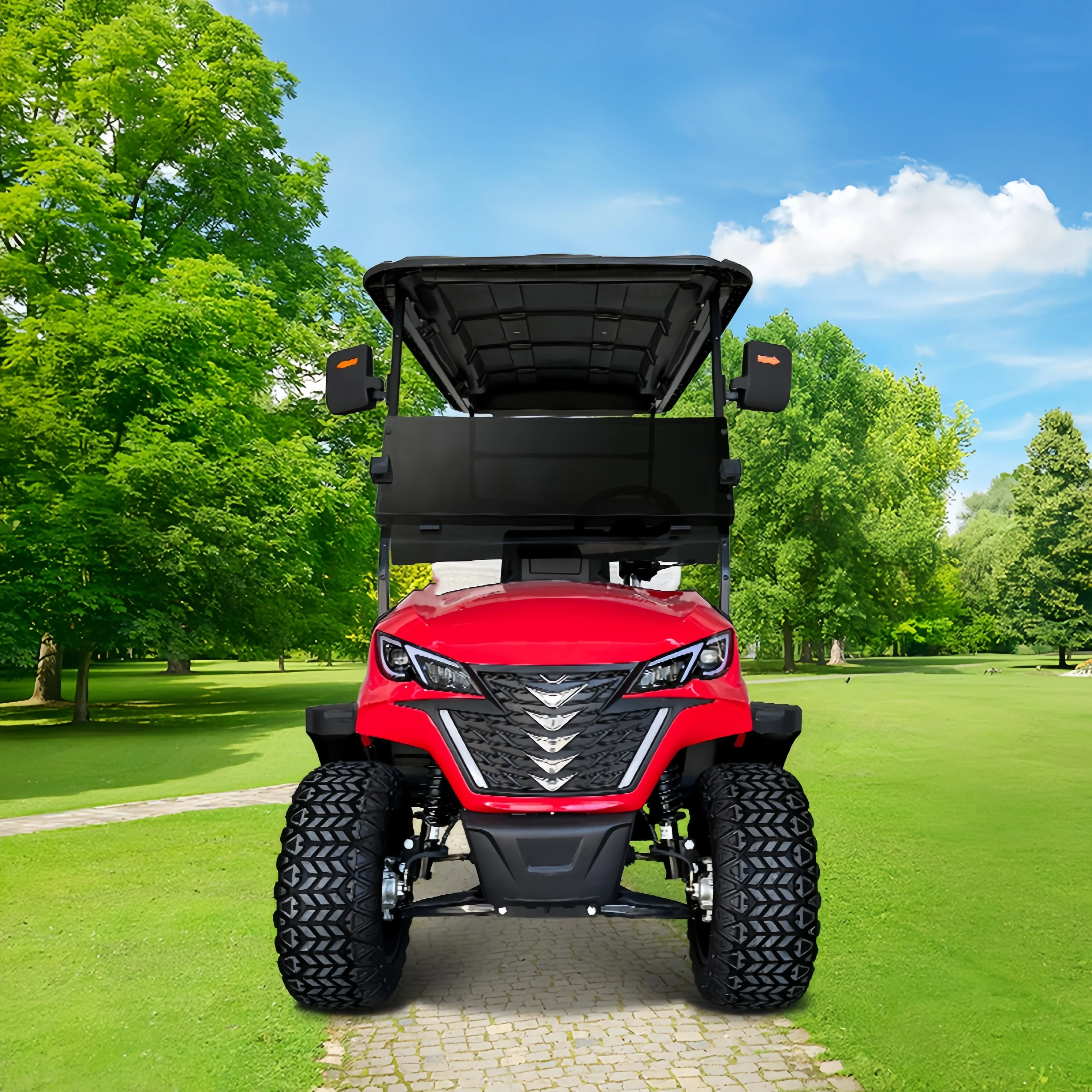 Lifted 2 4 6 Seat Electric Lithium Battery Golf Cart Hunting Golf Buggy car with DOT EEC