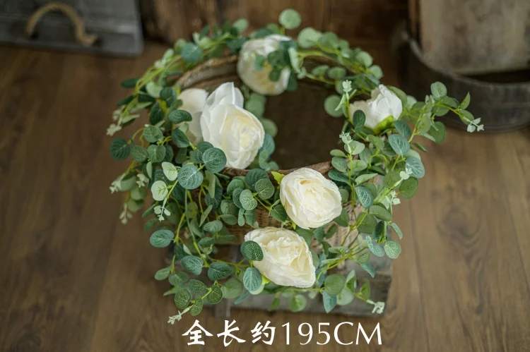 Newborn Photography Prop Basket Stuffer Simulated Green Plants Accessorie Christmas Daisy Rattan Strip Vine Studio Shooting Flow cheap newborn photography near me