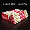 6tube Gardenia