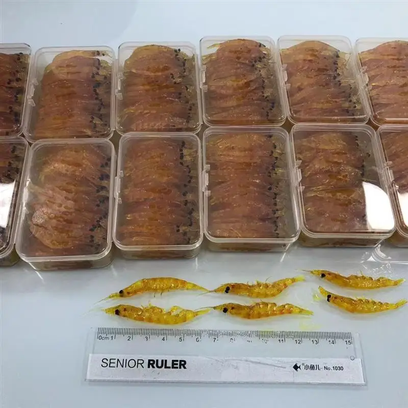 스럽게 준비된 남극 크릴 낚시 미끼 겨울 바다 낚시 미끼 데빌드 쉬림프 낚시 장비 캠핑 여행 용품