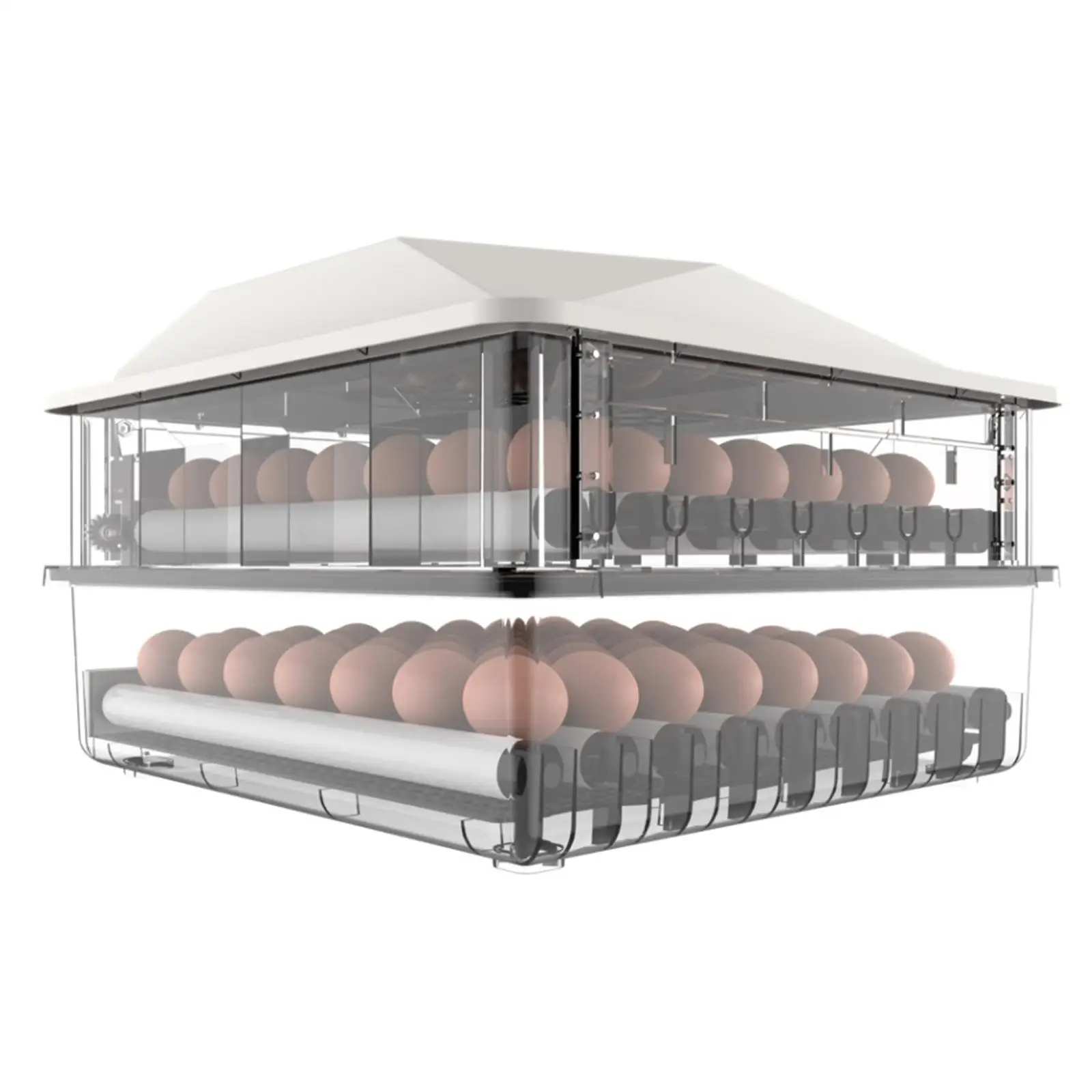 

Small Eggs Incubator Temperature Humidity Control Automatic Egg Turner Poultry Hatching Machine for Hatching Chicks Duck Eggs