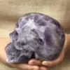 Natural Dreamy Amethyst Energy Crystal Skull Specimen Reiki Healing Gift Room Decoration 5
