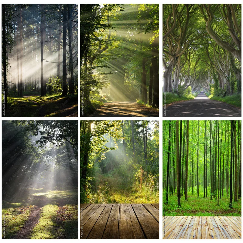 

ZHISUXI Natural Scenery Photography Background Forest Landscape Travel Photo Backdrops Studio Props 22331 SELI-08