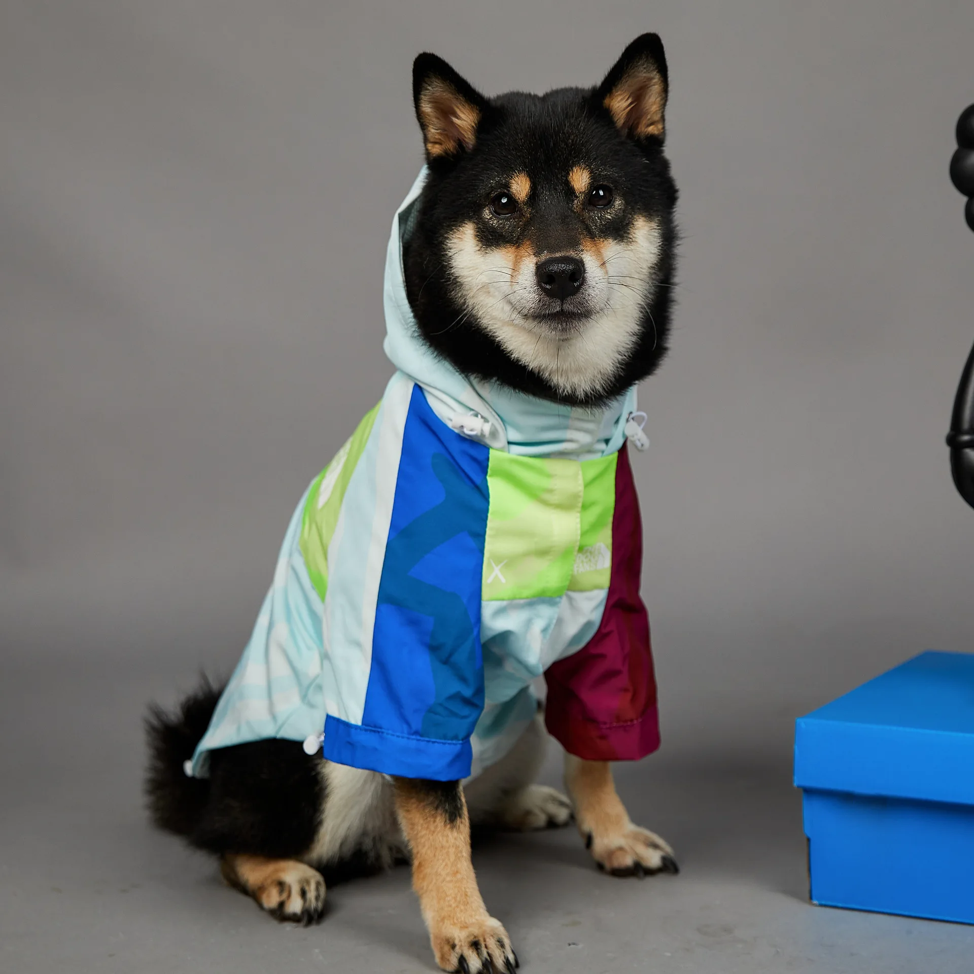

Dog Clothes Raincoat For Small Big Dogs Wind Coat Windbreaker French Bulldog Hoodie Cool Dogs Clothes Jacket Chihuahua Dog Face