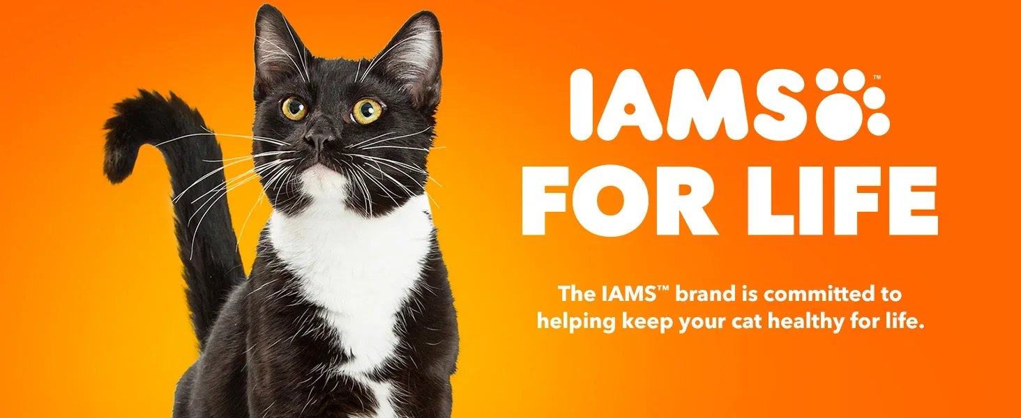 iams