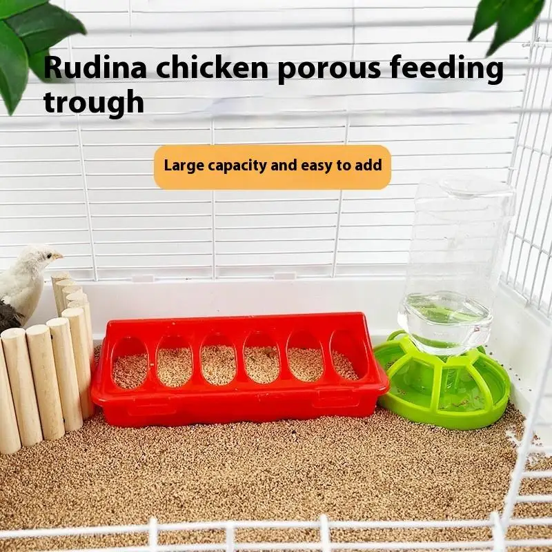 Poultry Feeder & Drinker 2