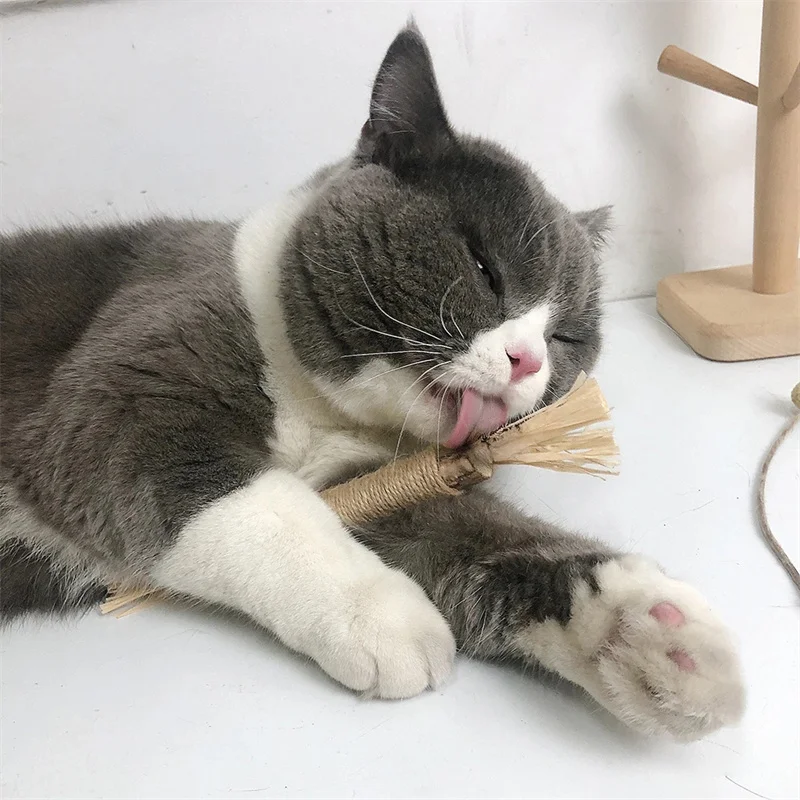 

Catnip Cat Toys Natural Matatabi Pet Cat Snacks Stick Cleans Tooth Removers Hair to Promote Digestion Silvervine Kitten Chew Toy