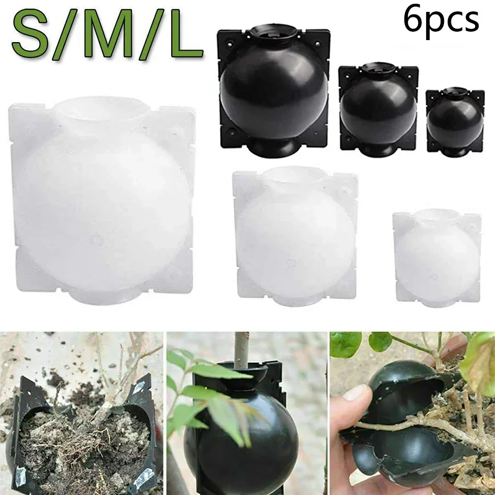 6pcs Plant Rooting Box Breeding Case Rooting Ball Plant Adjustable Nursery Trays Ball Grafting Tool