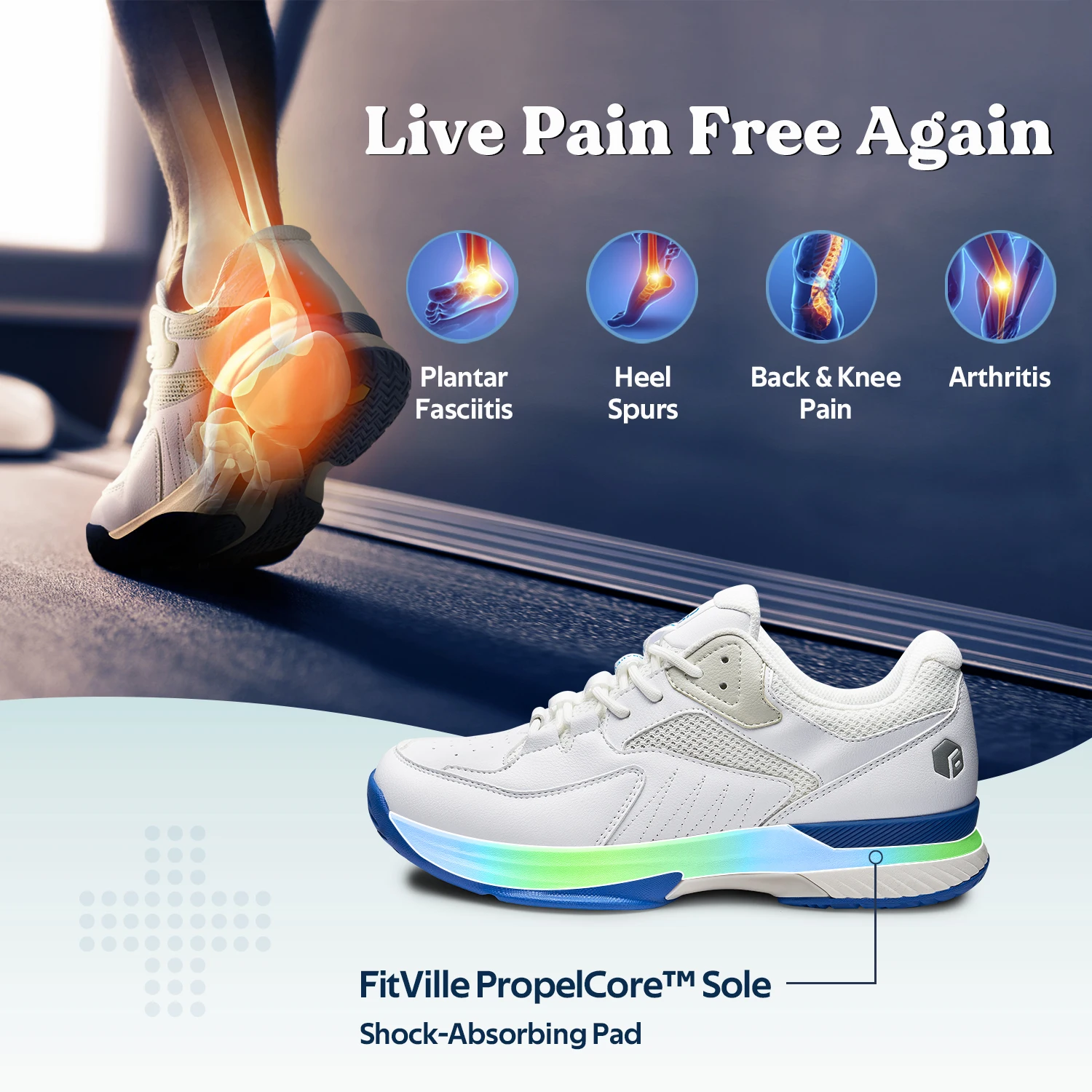 FitVille  ״Ͻ Ź,  Ʈ̴ Ŀ,  ̲   ,   ġ 