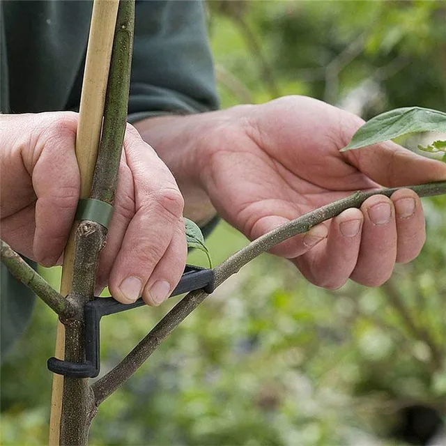 100Db Gyümölcsfa Ágak Tartó Gyümölcsök Ág Szóró Fa Támogatása Támogatja A Bonsai Szerszámokat Az Udvarra - Image 5