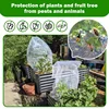 Nylon Plant Protection Netting Mesh Bag Cover for Fruit Vegetable Tree Strawberry Grapes Pest Control Anti-Bird Gardening Tools 4