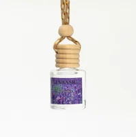 Aromatherapy Car Essential Oil Bottle - Assorted Designs Sent Randomly - Image 3
