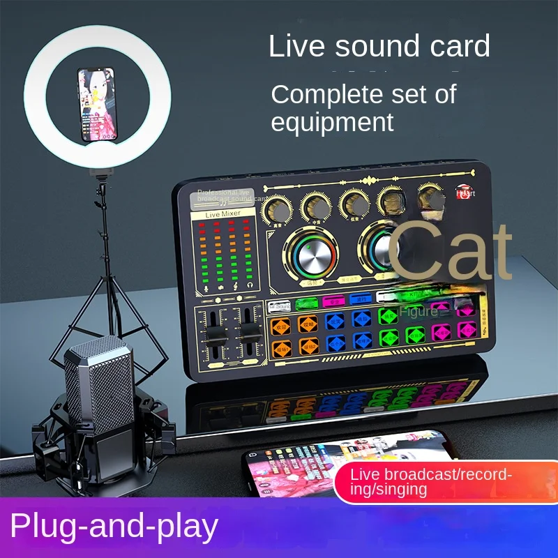 

New Professional Double Sound Card for Live Show Anchor Sing Recording Mobile Phone Computer Universal