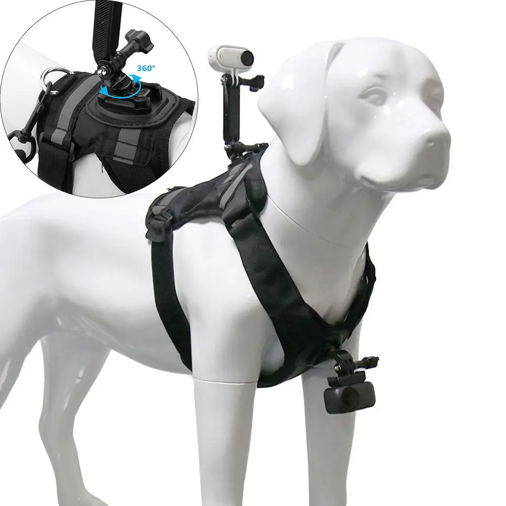 Harnais de maintien pour chien avec support caméra action, vue de face montrant les sangles ajustables et le support.