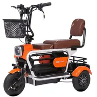 Scooter électrique tendance pour 2 personnes avec cage pour animaux/handcuffs pliables, tricycle électrique compact 600W pour famille, adultes, femmes, personnes âgées 2