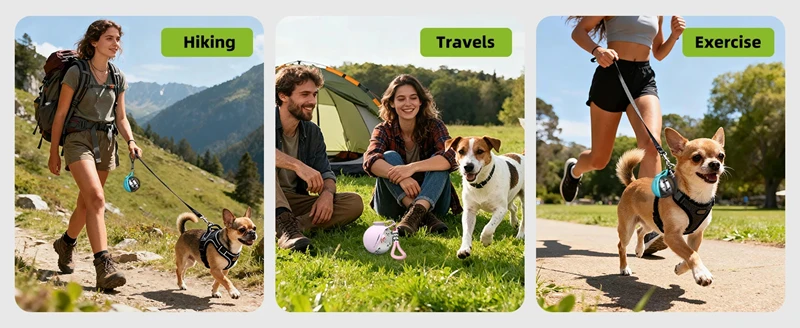 Portable Outdoor Water Bottle for Small Dogs