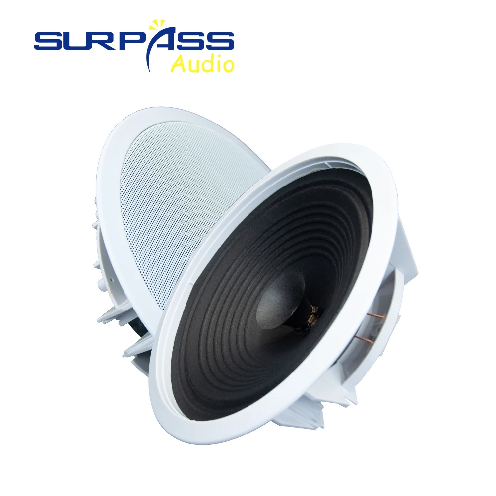 Surpass Audio Ceiling Speakers Wall Speakers Sound System Home