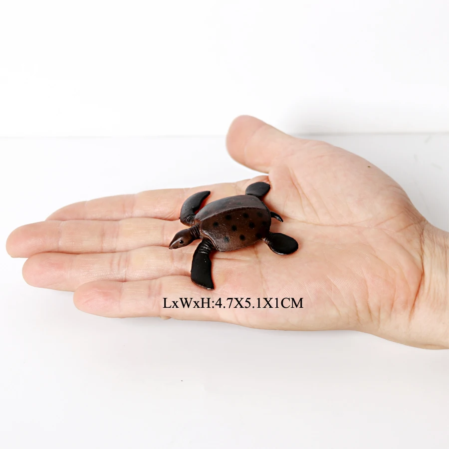 Realistic Sea Turtle Growth Cycle Educational Toy and Cake Topper Gift
