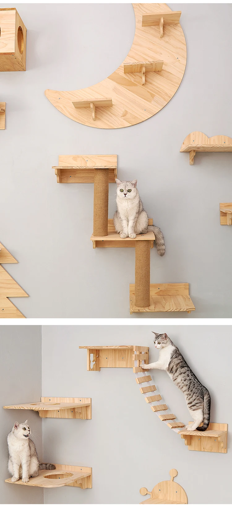 S037d19e9c8aa45969f4f5066090a7b54J