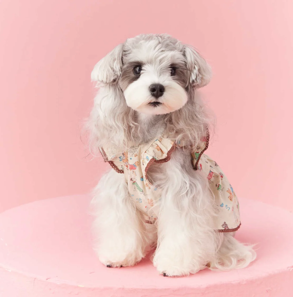 Thin Printed Pet Clothes for Small Dogs, Puppy Clothing, Home Pajamas, Maltese Teddy Schnauzer, Bichon Bear Shirt, Spring