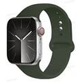 24 Olive