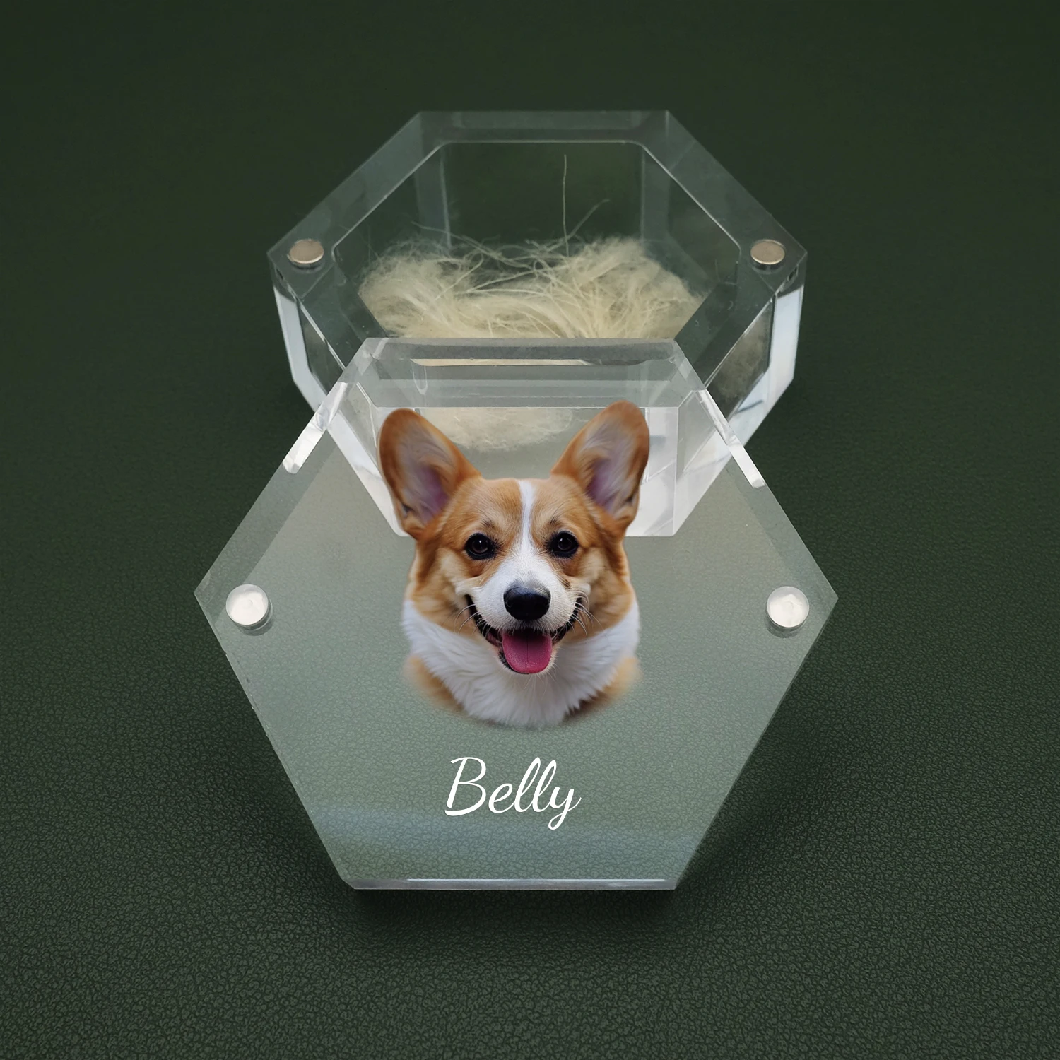 Personalized Pet Memorial Box Pet Fur Box with Photo Keepsake for Dogs and Cats Memorial Gift for Lover