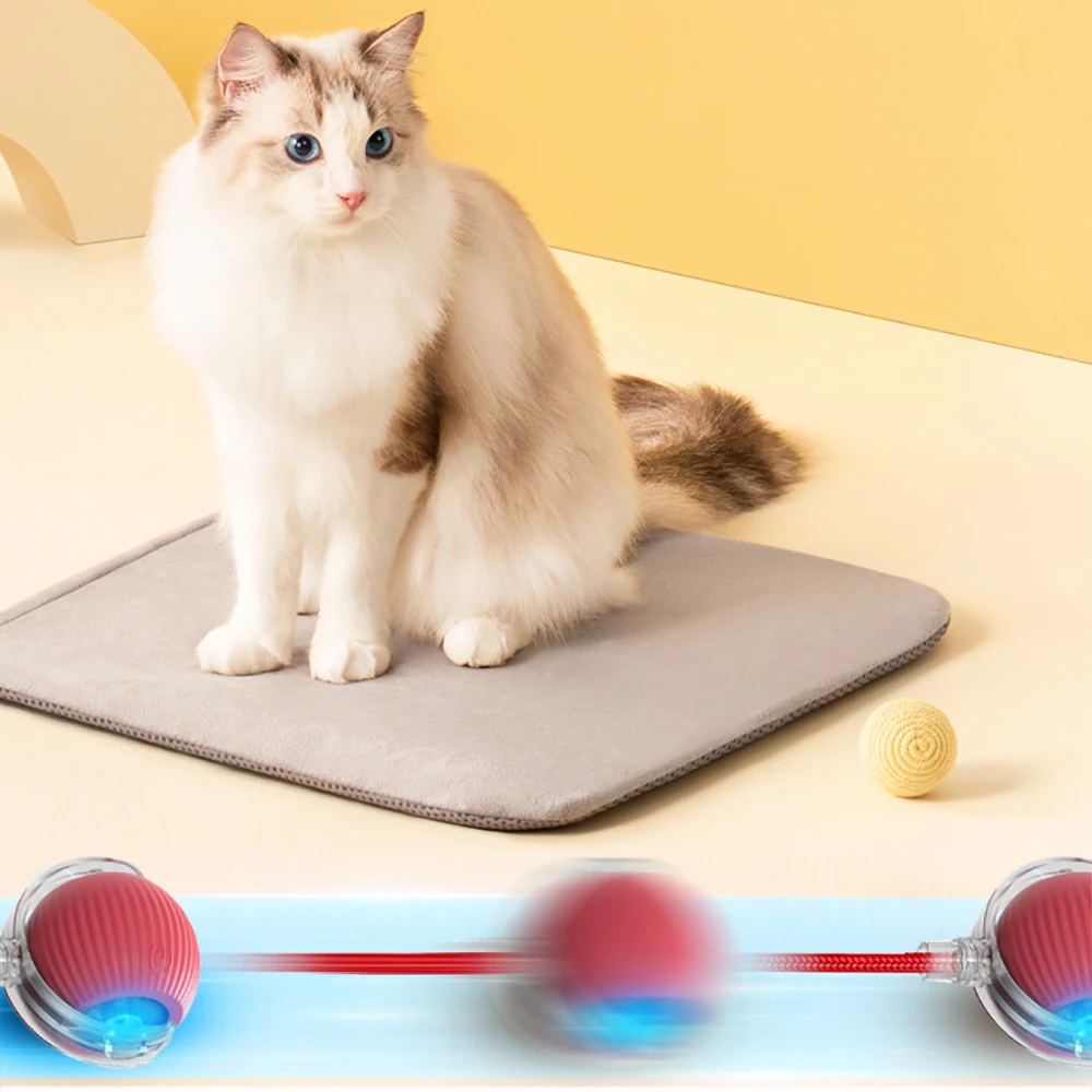 Smart Cat Toys Automatic Rolling Ball Fake Tail Rechargeable Electric Pet Interactive Toy Baby Photographic Props Four Seasons