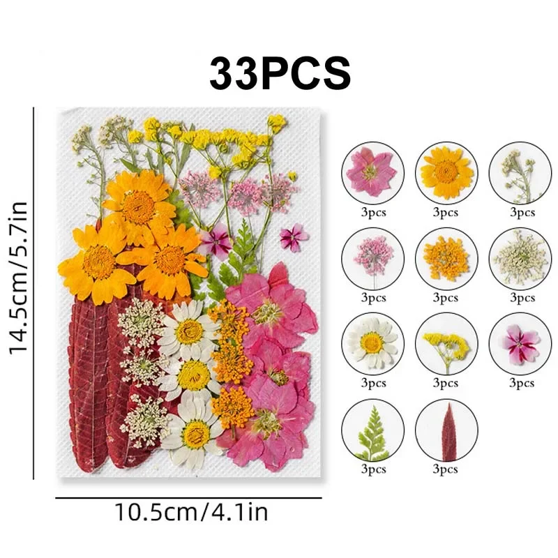 72 Fiori Secchi Naturali Per Resina E Artigianato - Decorativi E Sicuri