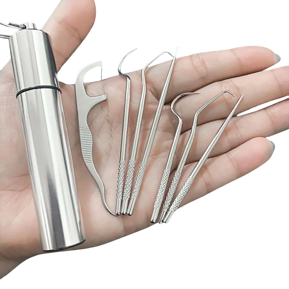 Stainless Steel Toothpick Set Metal Flossing Tools With Portable