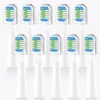 Compatible with Bitvae D2 Electric Toothbrush Replacement Heads, for Bitvae D2 Electric Toothbrush，10pcs 2