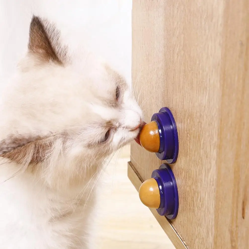 Menta Naturale Vari Oligoelementi + Isinglass D'Oro Cat Candy Solid Licking Energy-Ball Catnip Nutrition (Sapore Casuale)