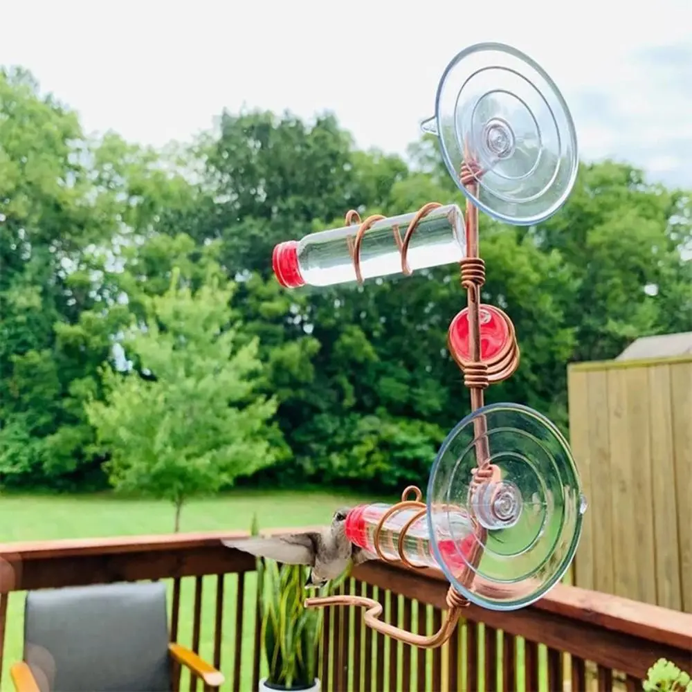 Creative Window Glass Decoration Suction Cup Bird Feeder Hummingbird Feeder Sweet Feeders bird feeder pet water feeder