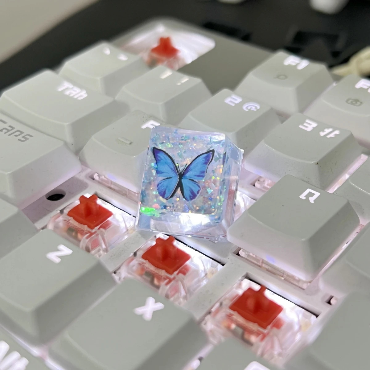 Translucent Butterfly Keycaps 1Pcs Translucent Butterfly Keycaps Cross Axis Mechanical Keyboard Keycaps With Accessories R251