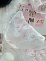 Super Cute Pink Large Size Girl's Underwear Lace Flower Transparent Pure Desire Japanese Sle Sweet Girl's Panties No Restri...