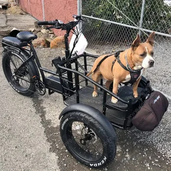 Großhändler Erwachsene 750 W/500 W 3 Rad Vorderrad Fracht Elektro China Elektro-Dreirad Fat Tire Elektro-Dreirad 1