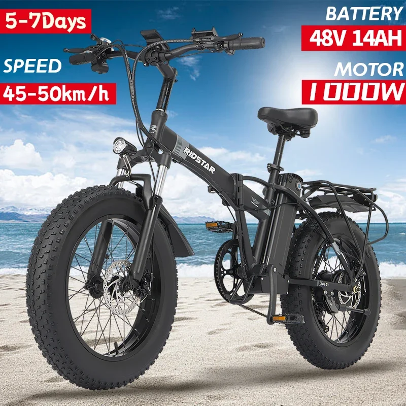 Fat Tire Xiongying Folding Electric Bike 1000w/48v Two Seater Fat