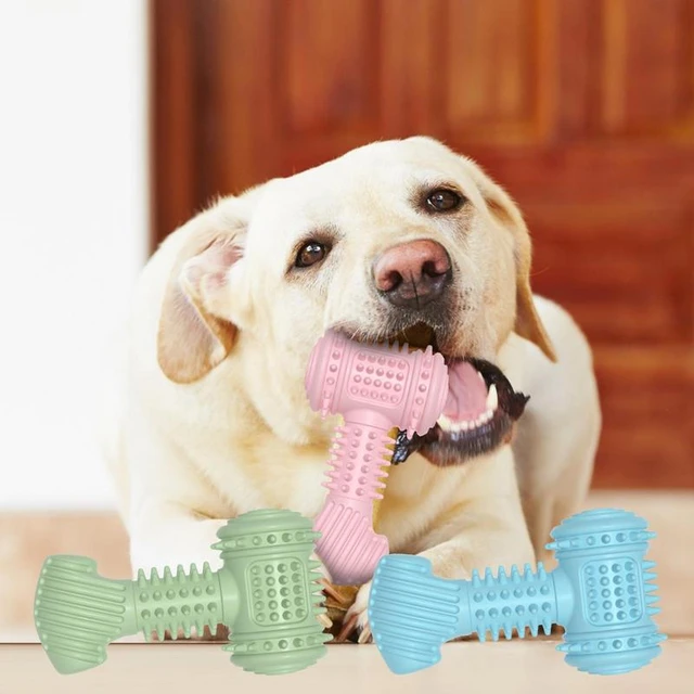 Hammer - Nylon Chew Toy - Made in USA - for Aggressive Chewers