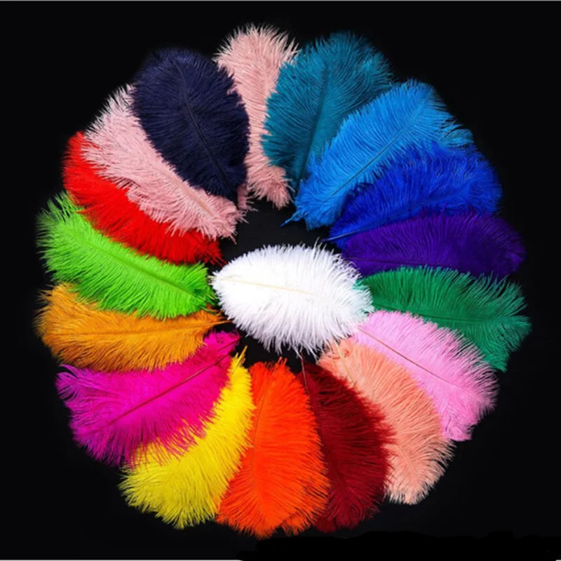 10 Plumas Avestruz Naturales 20-25 Cm,plumas Avestruz Para Manualidades,atrapasueños,accesorios,decoración Hogar,disfraces,decoración