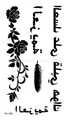 Image 49