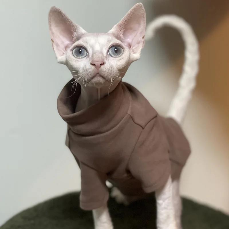 Felpa Con Cappuccio Per Gatti Senza Pelo - Calda, Spessa, Per Sphynx E Razze Simili, Taglia S Grigia