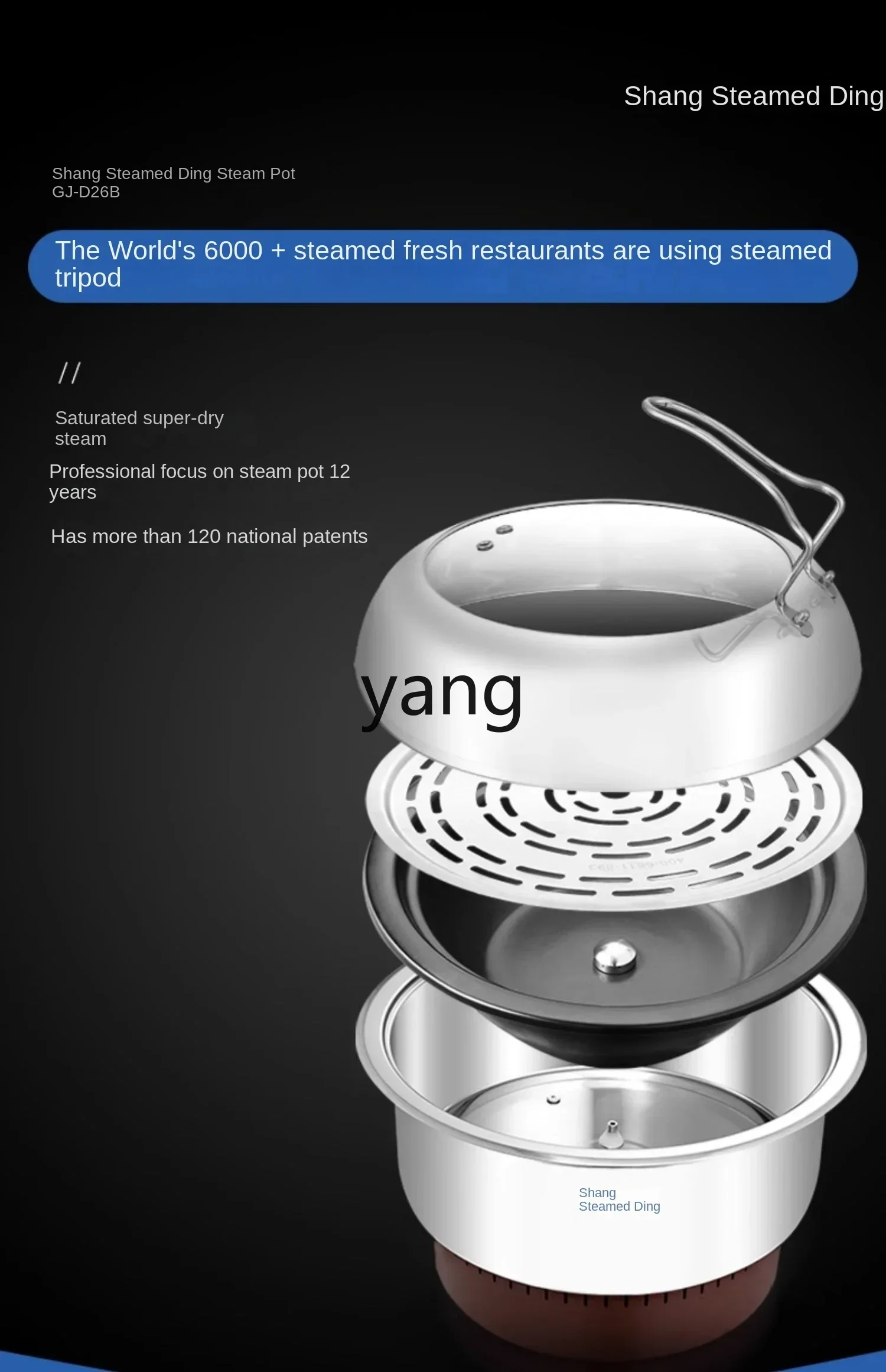 L'm'm Electric Saucepan for Commercial Use Multi-Functional Hot Pot Sauna Pot Steaming and Cooking Lattice Maker