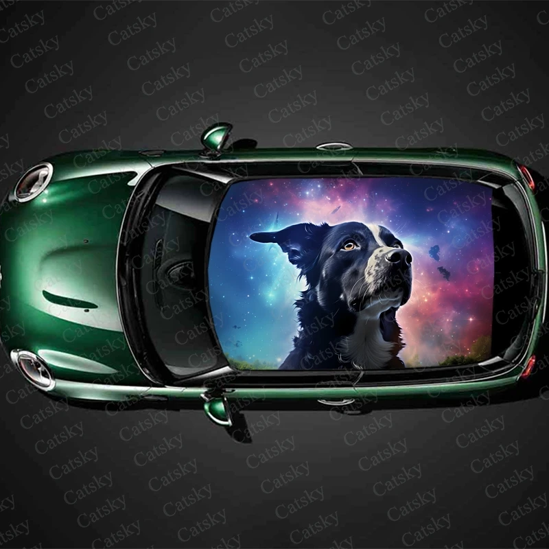 

Наклейка на крышу автомобиля «собачка с космосом»