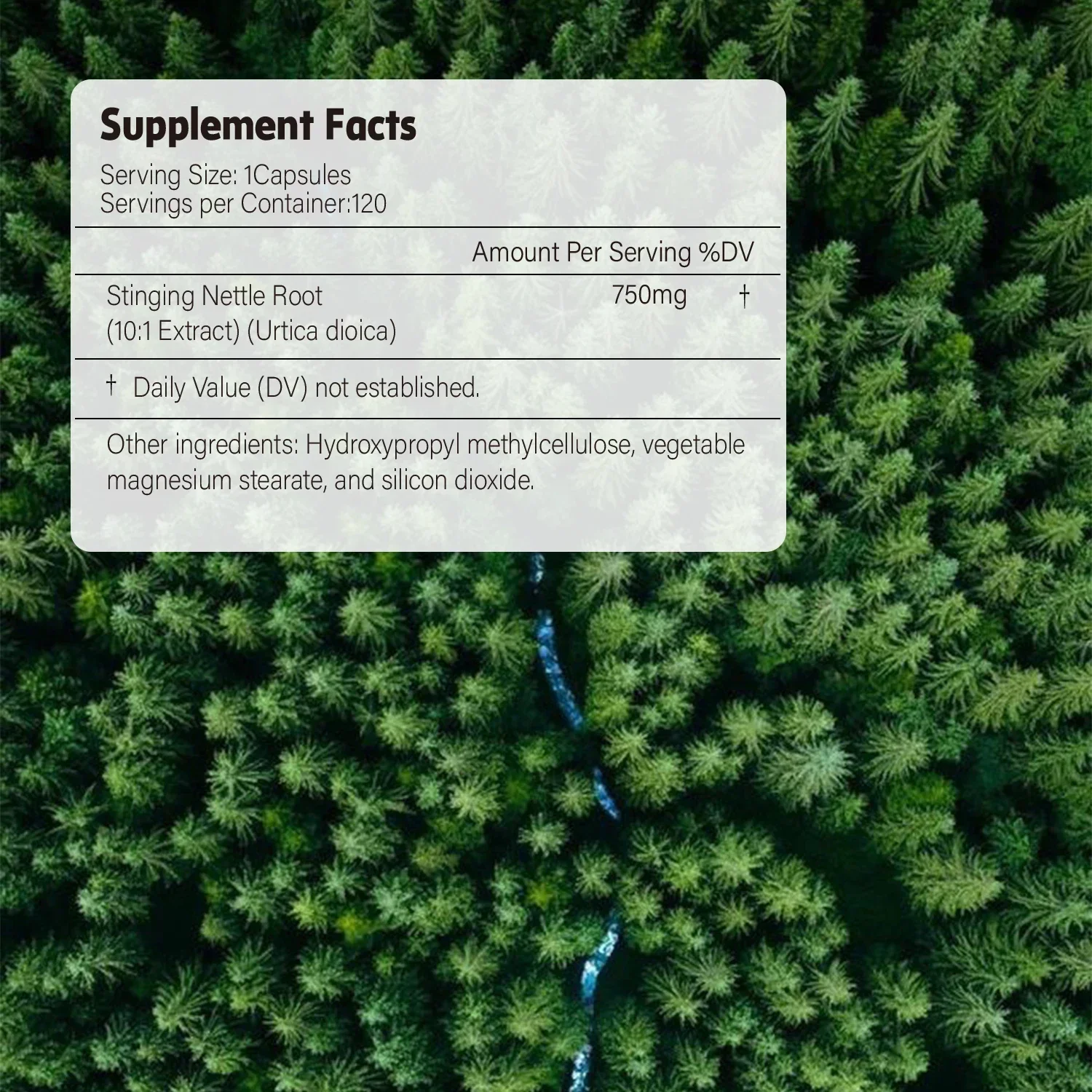 Stinging Nettle Root Extract-Premium Prostate Health Support Supplement, Reduce Frequent Urination, Stamina
