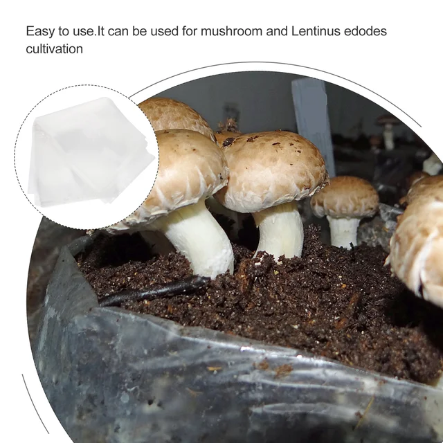 30 Db Farm Ívás Táskák Burgonyatermelő Gombatermesztés Ültetvényes Szűrő Sterilizált Gabona - Image 4