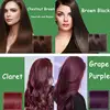 500ml Herbal Hair Dye 3 In 1 Instant Hair Coloring Shampoo Hair Care Supplies For Men Women And Old Man For Gray Hair(random box 5